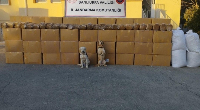Şanlıurfa'da kaçak sigara ve tütün ele geçirildi