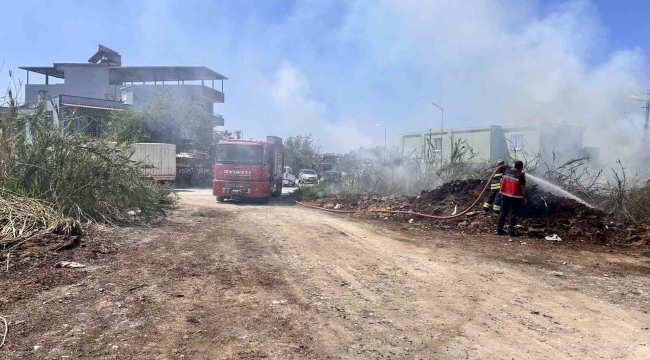 Arsuz'da sazlık yangını