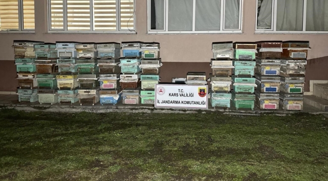 Kağızman'da arı kovanı hırsızları yakalandı