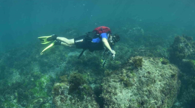 Karadeniz'in su altı güzellikleri keşfedilecek