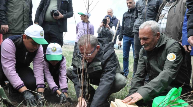 Kars'ta meyve ağaçları toprakla buluştu