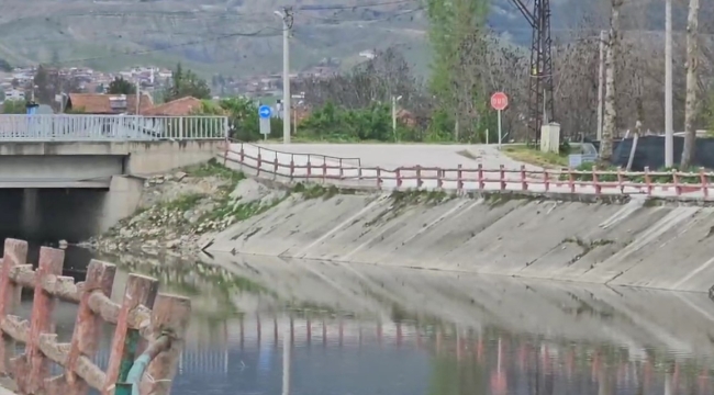 Yeşilırmak Nehri'nde balık ölümleri incelemeye alındı
