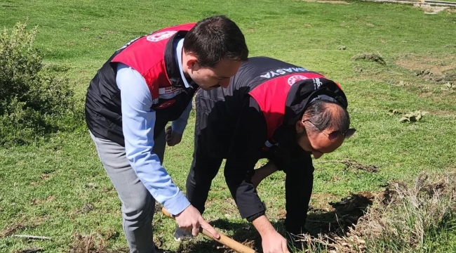 Amasya'da tarım ekipleri süne sürvey çalışmalarını sürdürüyor