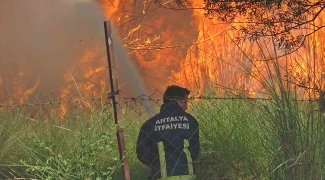 Antalya'da itfaiye erleri alevlerle burun buruna kaldı, bir adım geri atmadılar