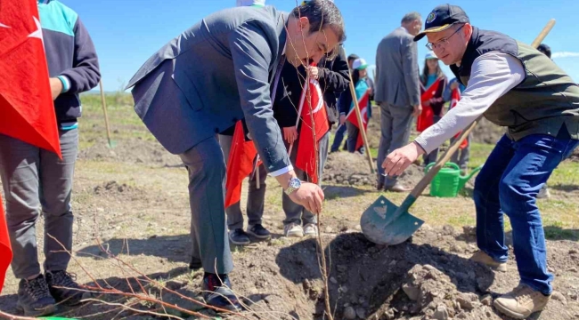 Arpaçay'da meyve fidanları toprakla buluştu