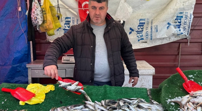 Balık sezonu bitmesine rağmen tezgahlarda hareketlilik sürüyor