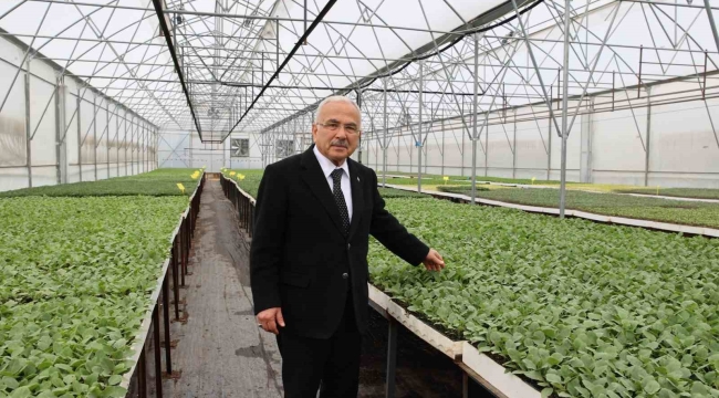 Başkan Güler: "5 yılda kendi ürettiğimiz 4 milyon adet fideyi üreticilerimize dağıttık"