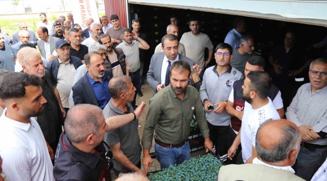 Bingöl'de üreticilere 442 bin sebze fidesi dağıtıldı