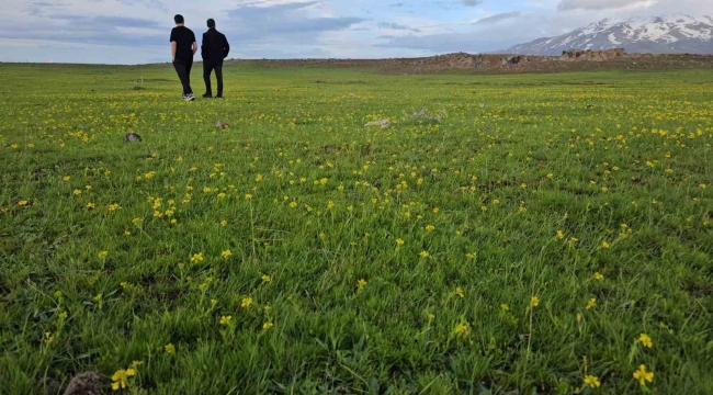 Bitlis'in saklı güzellikleri: Cil Gölü ve Sütey Yaylası