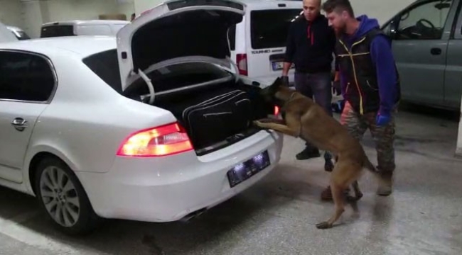 Bolu'da kaçakçılık operasyonunda 4 gözaltı
