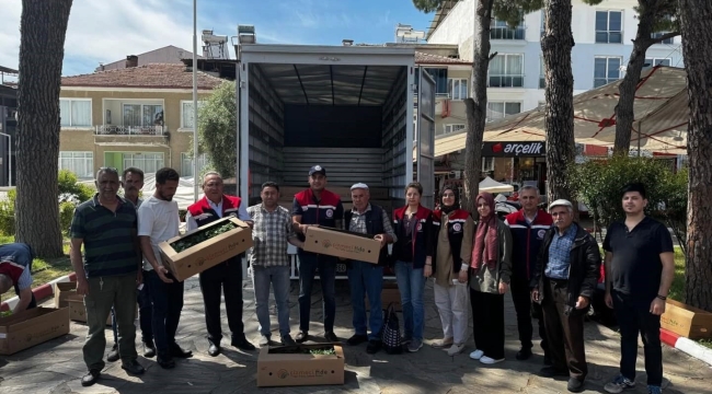 Bozdoğan'da 60 bin turşuluk biber fidesi dağıtıldı