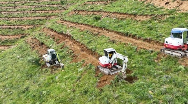 Çamardı'da 227 hektarlık alanda ağaçlandırma yapıldı