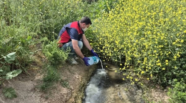 Çanakkale'de çeltik ekim alanlarında sivrisinek mücadelesi başladı
