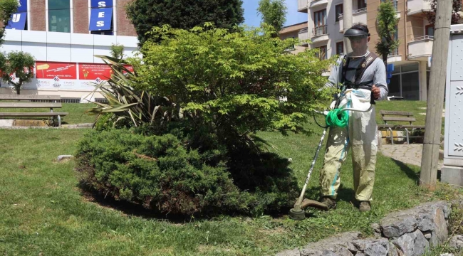 Darıca'da yeşil alanlarda bahar mesaisi