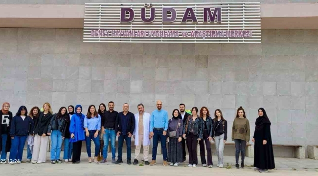 Deneysel çalışmalara kazandırıldı