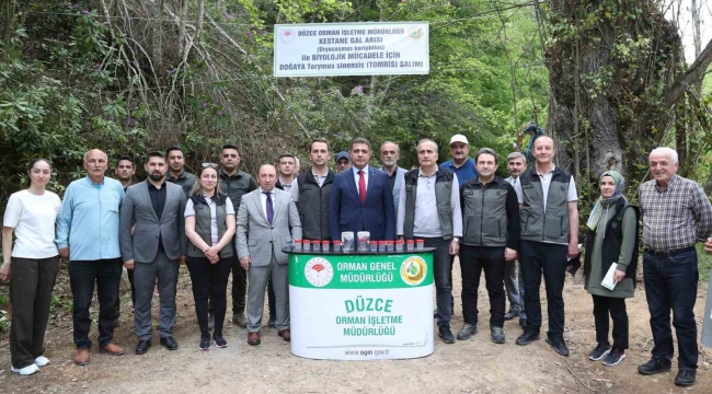 Düzce 80 bin adet böcek salınacak