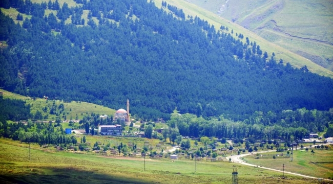 Erzurum'da "Orman Alanları, Ağaçlandırma ve Erozyon Kontrol Sahaları ile ilgili Valilik Genel Emri" yayınlandı