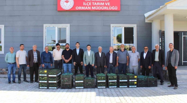 Genç'te üreticilere sebze fidesi dağıtıldı