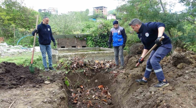 Giresun'da balık atıkları gübre ve yeme dönüşüyor
