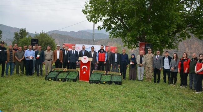Hakkari'de üreticiye fide desteği