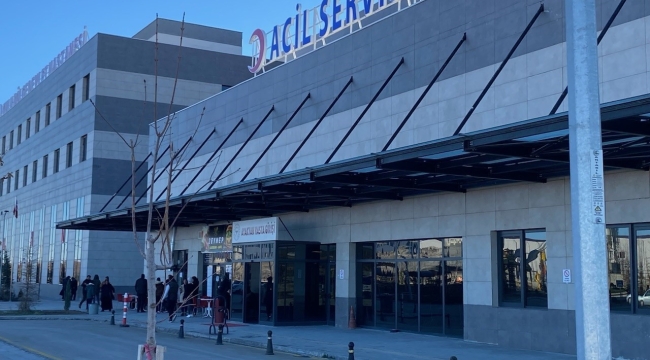 Havyan otlatma kavgası kanlı bitti: 1 yaralı