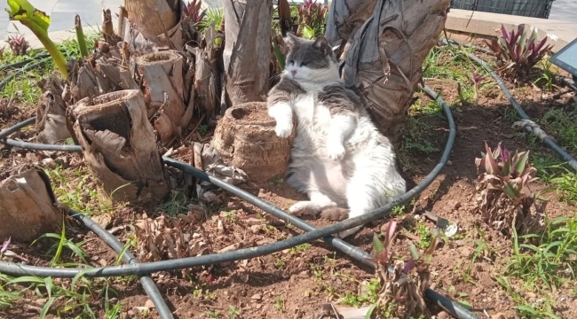 İşçiler çalıştı, o keyfini bozmadı