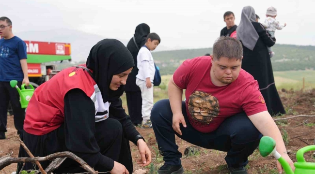Kahramanmaraş'ta engelsiz orman
