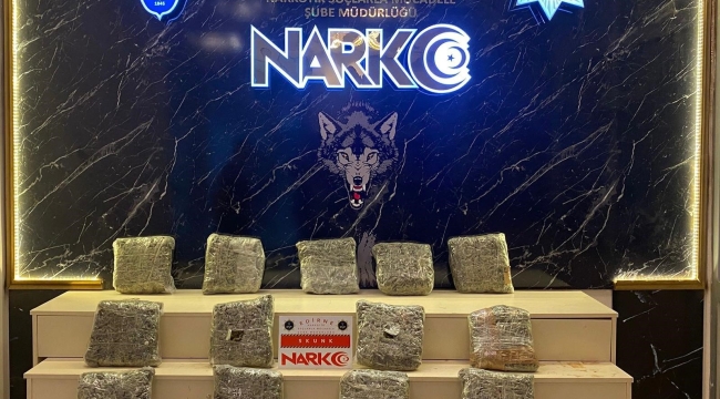 Kapıkule'de 13 kilo skunk ele geçirildi