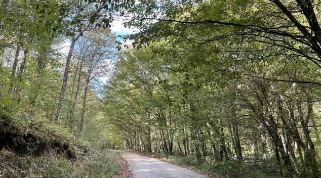 Kırklareli'nde ormanlara giriş 177 gün süreyle yasaklandı