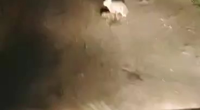 Korkmadı, kaçmadı... "Ana yüreği korku tanımaz"
