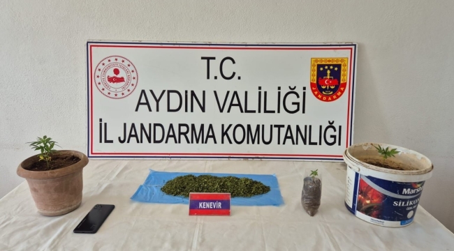 Köşk'te uyuşturucu baskını: 1 gözaltı