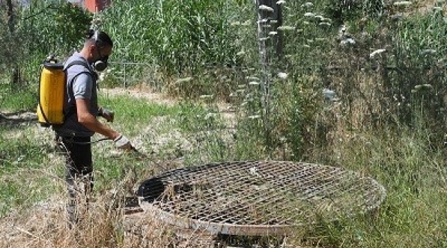Kuşadası Belediyesi halk sağlığı için vektörel mücadelesini sürdürüyor