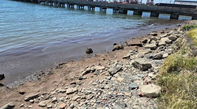 Marmara Denizi'nin Tekirdağ kıyılarında kızıl yosun birikintisi oluştu