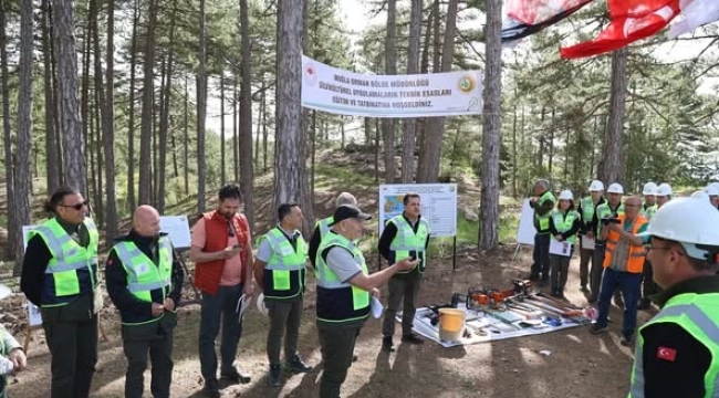 Muğla Orman Bölge Müdürlüğü'nde silvikültür tatbikatları tamamlandı