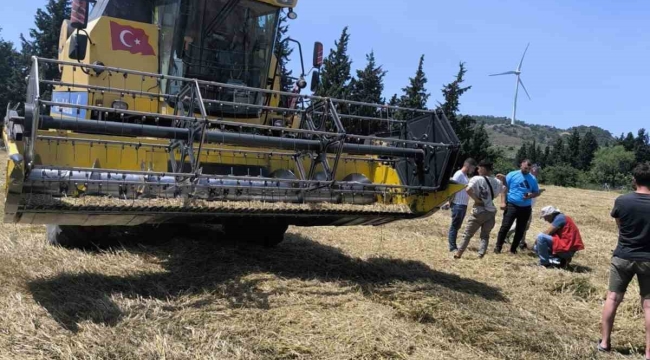 Muğla'da Biçerdöverle hububat hasadı başladı