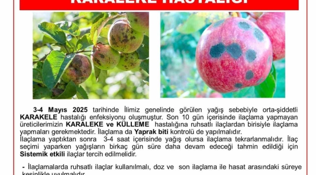 Niğde Tarım İl Müdürlüğü'nden Karaleke Uyarısı: Üreticiler ilaçlama yapmalı