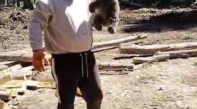 Orman işçilerinin yanına gelen yavru ayı koruma altına alındı