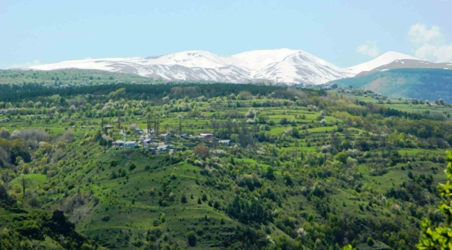 Posof'ta baharla gelen güzellikler