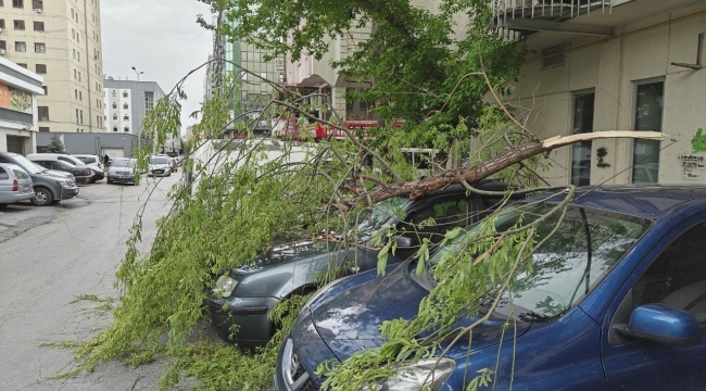 Rüzgarda kırılan ağaç dalı otomobillerin üzerine düştü
