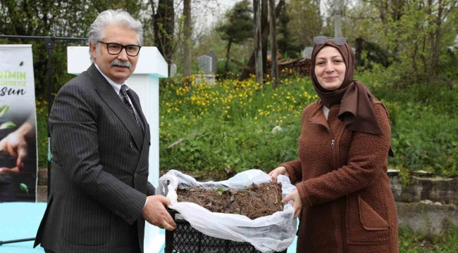 Samsun'da üreticilere 150 bin çilek fidesi desteği