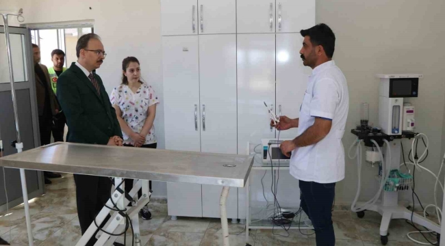Siirt'te sahipsiz hayvanlar bu merkezde güvenli şekilde yaşamlarını sürdürüyor