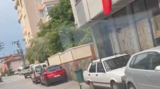 Sokak ortasında gezen tavus kuşu sürücülere ilginç anlar yaşattı