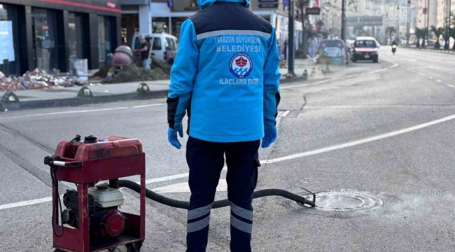 Trabzon'da sıcaklar başlamadan vektörle mücadele başladı