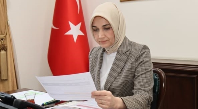 Vali Yiğitbaşı, Bakan Yerlikaya ile video konferans ile görüştü