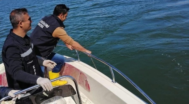 Van'da sazangiller için av yasağı başladı