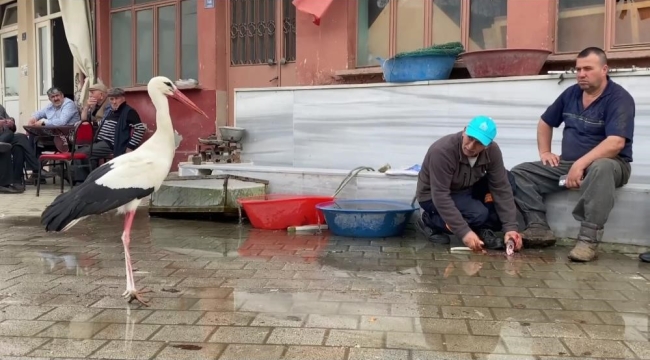 Yaren'in rakibi Bilal Leylek baba oldu