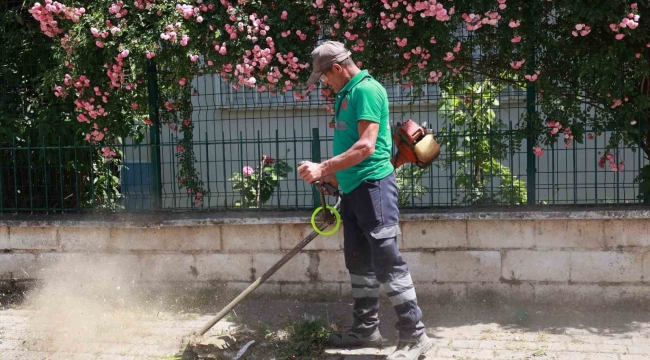 Yedieylül Mahallesi şehir hayatına geri döndü
