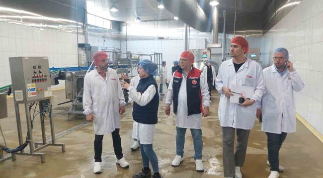 Yem üretim tesislerine detaylı denetim
