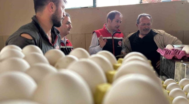 Yumurta tavukçuluğu sektöründe 80 bin adet tavuk bulunan işletmeye ek olarak yeni tesis geliyor