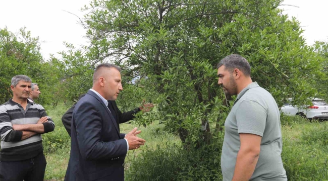 Zirai donun yaraları Büyükşehir'in desteğiyle sarıldı
